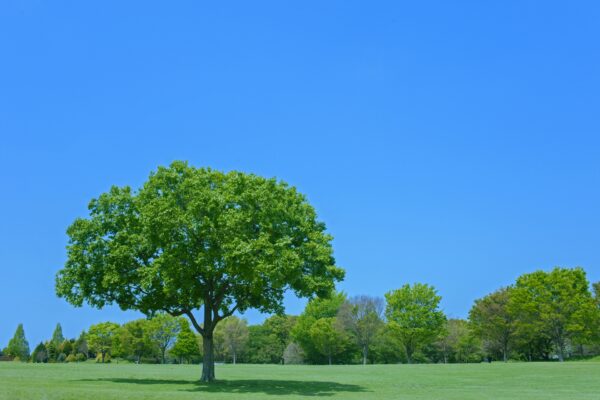 7. お問い合わせ - あなたの痛みを軽減しましょう！